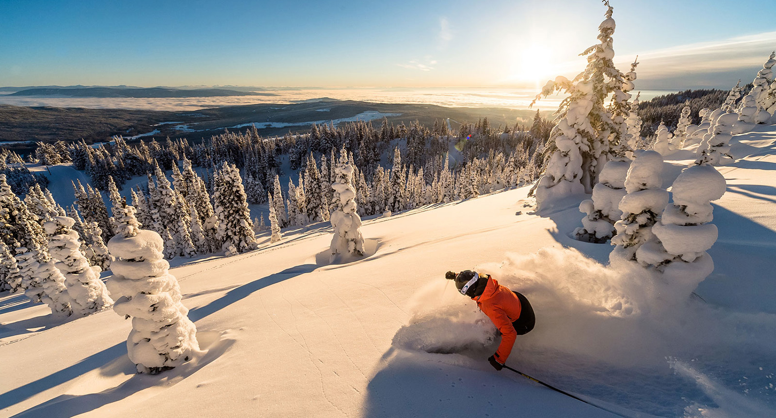 Vendite Rossignol -Vendite Rossignol yhtyh